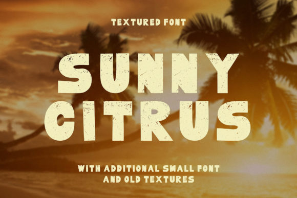 Sunny Citrus: A Bold, Textured Display Font for Real Branding