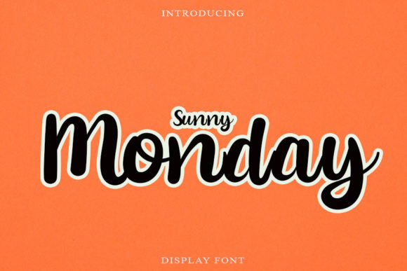 Sunny Monday: A Designer’s Real-World Review